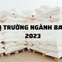 Báo Cáo Thị Trường Bia Việt Nam 2023