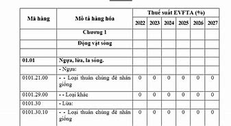 Biểu Thuế Xuất Khẩu Ưu Đãi