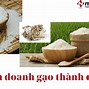 Có Nên Mở Cửa Hàng Bán Gạo