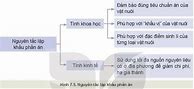 Công Nghệ 11 Kết Nối Tri Thức Bài 7