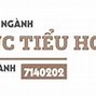 Ngành Giáo Dục Tiểu Học Đại Học Sài Gòn