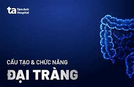 Trường Phúc Đại Tràng