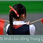 Xklđ Trung Quốc 2022 Là Gì Tại Sao Phải Làm